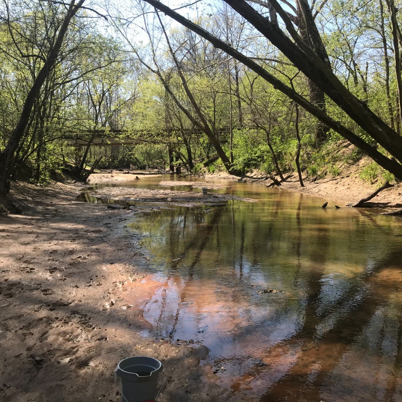 Bois D'Arc Creek Fish Surveys